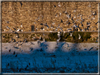 foto Lungo il Fiume Brenta